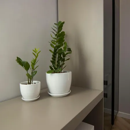 Mina Luxury Lejlighed Tirana